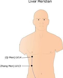 liver meridian points 13 and 14