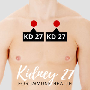 kidney acupuncture point #27