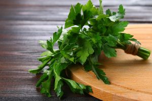 Flat Parsley Leaf